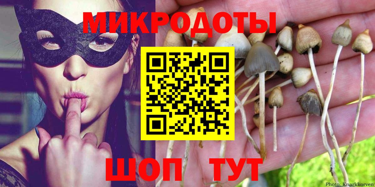 Псилоцибиновые грибы MAGIC MUSHROOMS  Вход с VPN  Псилоцибиновые грибы Psilocybine cubensis  Лобня 